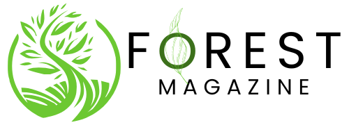 Forest Magazine